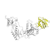 The deposited structure of PDB entry 1rev contains 1 copy of Pfam domain PF00075 (RNase H) in Reverse transcriptase/ribonuclease H. Showing 1 copy in chain A.