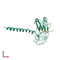 PDB entry 1rf3 coloured by chain, front view.