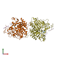 PDB entry 1rff coloured by chain, front view.