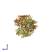 PDB entry 1rfi coloured by chain, side view.