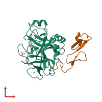 PDB entry 1rfn coloured by chain, front view.