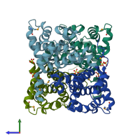 PDB entry 1rfz coloured by chain, side view.