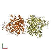 PDB entry 1rg2 coloured by chain, front view.