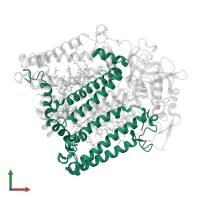 Reaction center protein L chain in PDB entry 1rg5, assembly 1, front view.