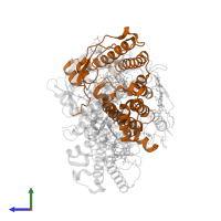 Reaction center protein M chain in PDB entry 1rg5, assembly 1, side view.