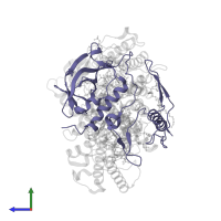 Reaction center protein H chain in PDB entry 1rg5, assembly 1, side view.