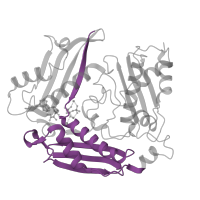 The deposited structure of PDB entry 1rg9 contains 4 copies of Pfam domain PF00438 (S-adenosylmethionine synthetase, N-terminal domain) in S-adenosylmethionine synthase. Showing 1 copy in chain A.