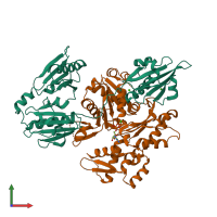 PDB entry 1rgi coloured by chain, front view.