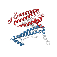 The deposited structure of PDB entry 1rgn contains 2 copies of CATH domain 1.20.85.10 (Photosynthetic Reaction Center, subunit M; domain 1) in Reaction center protein L chain. Showing 2 copies in chain A [auth L].