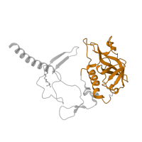 The deposited structure of PDB entry 1rgn contains 1 copy of CATH domain 3.90.50.10 (Photosynthetic Reaction Center; Chain H, domain 2) in Reaction center protein H chain. Showing 1 copy in chain C [auth H].