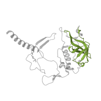 The deposited structure of PDB entry 1rgn contains 1 copy of Pfam domain PF05239 (PRC-barrel domain) in Reaction center protein H chain. Showing 1 copy in chain C [auth H].