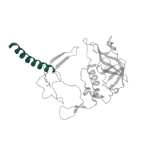 The deposited structure of PDB entry 1rgn contains 1 copy of SCOP domain 81489 (Photosystem II reaction centre subunit H, transmembrane region) in Reaction center protein H chain. Showing 1 copy in chain C [auth H].