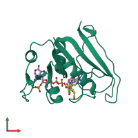 PDB entry 1rh3 coloured by chain, front view.