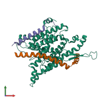 PDB entry 1rh5 coloured by chain, front view.