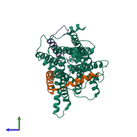 PDB entry 1rh5 coloured by chain, side view.