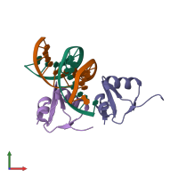 PDB entry 1rh6 coloured by chain, front view.