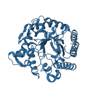 The deposited structure of PDB entry 1rh9 contains 1 copy of SCOP domain 51487 (beta-glycanases) in Mannan endo-1,4-beta-mannosidase 4. Showing 1 copy in chain A.