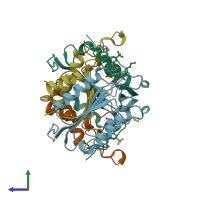 PDB entry 1rhj coloured by chain, side view.