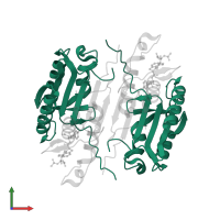 Caspase-3 subunit p17 in PDB entry 1rhu, assembly 1, front view.