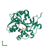 PDB entry 1ri2 coloured by chain, front view.