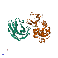 PDB entry 1ri8 coloured by chain, top view.