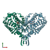 PDB entry 1rib coloured by chain, front view.