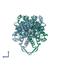 PDB entry 1rib coloured by chain, side view.