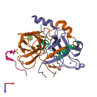 PDB entry 1riw coloured by chain, top view.