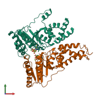 PDB entry 1rj9 coloured by chain, front view.