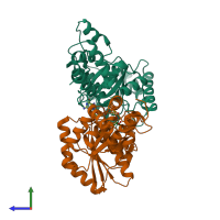 PDB entry 1rj9 coloured by chain, side view.