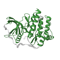 The deposited structure of PDB entry 1rjb contains 1 copy of Pfam domain PF07714 (Protein tyrosine and serine/threonine kinase) in Receptor-type tyrosine-protein kinase FLT3. Showing 1 copy in chain A.