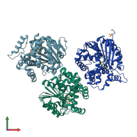 PDB entry 1rjd coloured by chain, front view.