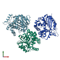 PDB entry 1rjf coloured by chain, front view.