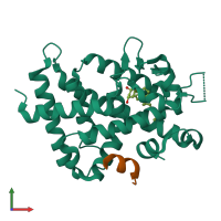 Hetero dimeric assembly 1 of PDB entry 1rjk coloured by chemically distinct molecules, front view.