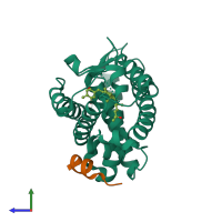 Hetero dimeric assembly 1 of PDB entry 1rjk coloured by chemically distinct molecules, side view.