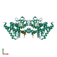 Hetero tetrameric assembly 2 of PDB entry 1rjk coloured by chemically distinct molecules, front view.