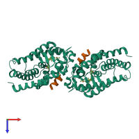 Hetero tetrameric assembly 2 of PDB entry 1rjk coloured by chemically distinct molecules, top view.