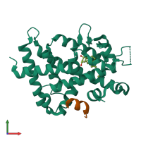 PDB entry 1rjk coloured by chain, front view.