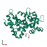 Vitamin D3 receptor in PDB entry 1rjk, assembly 1, front view.