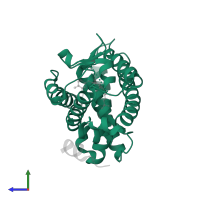 Vitamin D3 receptor in PDB entry 1rjk, assembly 1, side view.
