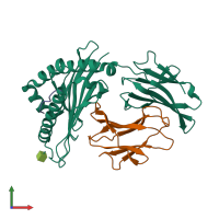PDB entry 1rk0 coloured by chain, front view.