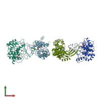 PDB entry 1rk2 coloured by chain, front view.