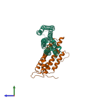 Hetero dimeric assembly 1 of PDB entry 1rke coloured by chemically distinct molecules, side view.