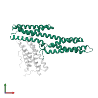 Vinculin in PDB entry 1rke, assembly 1, front view.