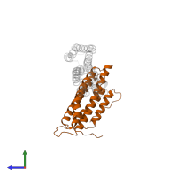 Vinculin in PDB entry 1rke, assembly 1, side view.