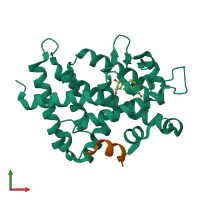 PDB entry 1rkg coloured by chain, front view.