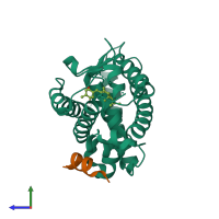 PDB entry 1rkg coloured by chain, side view.