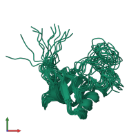 PDB entry 1rkn coloured by chain, ensemble of 12 models, front view.