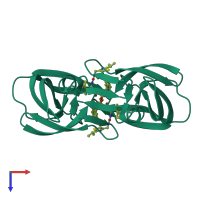 Homo dimeric assembly 1 of PDB entry 1rl8 coloured by chemically distinct molecules, top view.