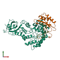 PDB entry 1rlc coloured by chain, front view.
